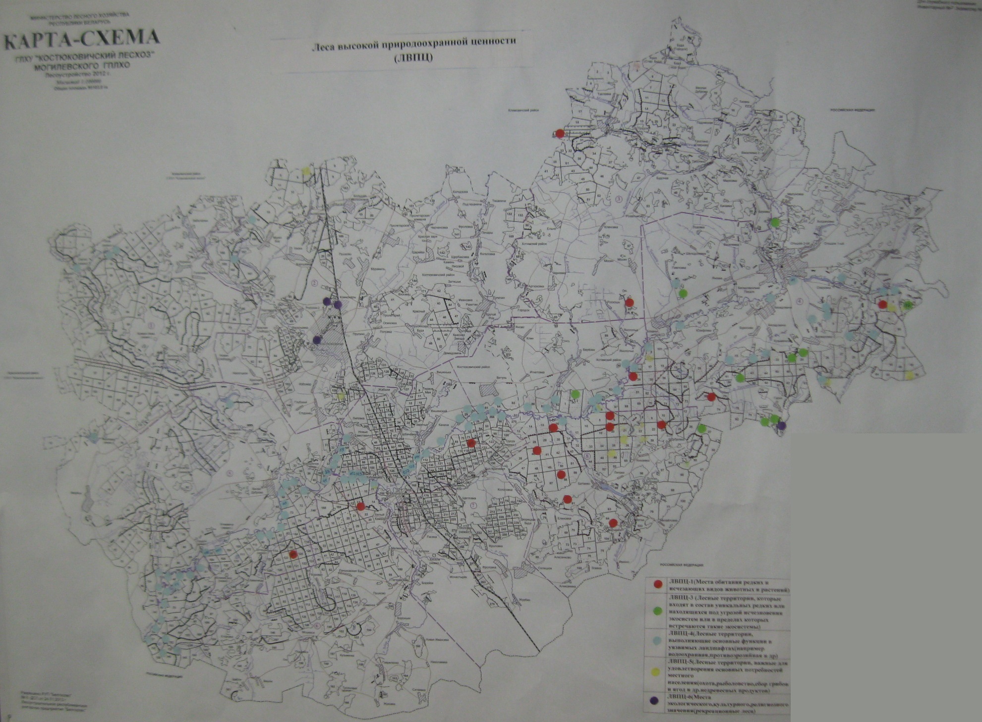 Карта леса высокой природоохранной ценности
