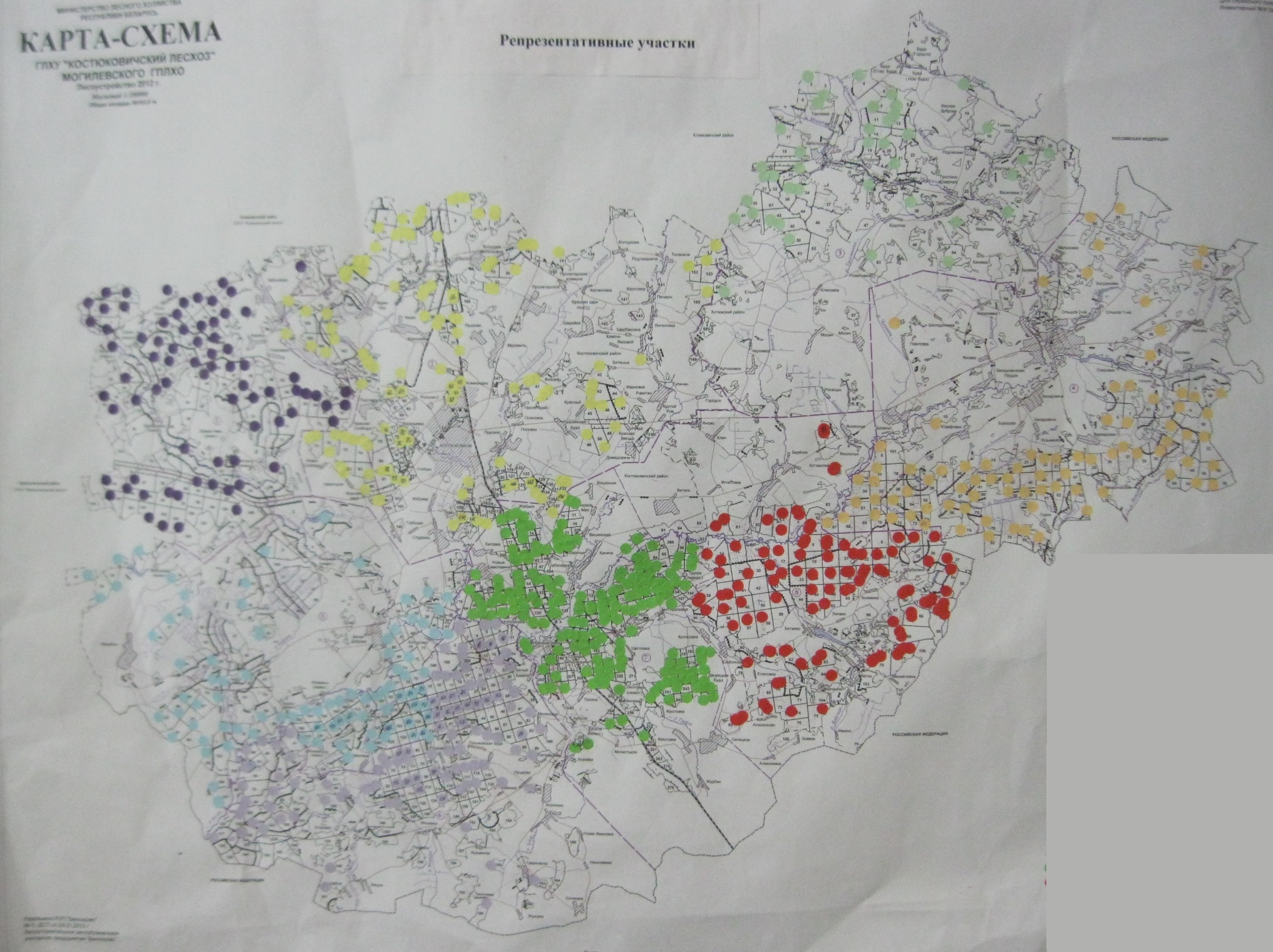 Карта схема янаульского лесничества