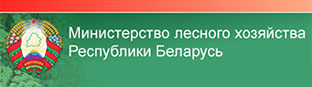 Министерство лесного хозяйства Республики Беларусь