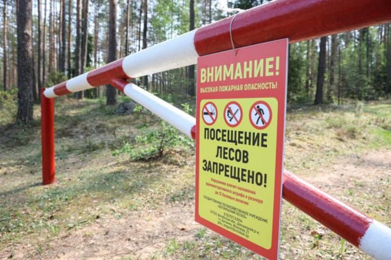 ЗАПРЕТ на посещение лесов