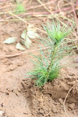 Старт акции 