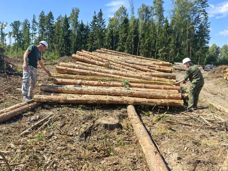 Неделя качества