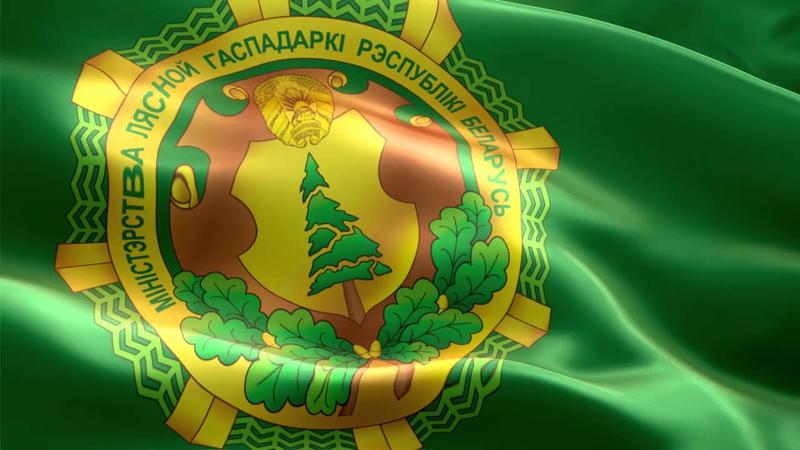  Александр Кулик: 