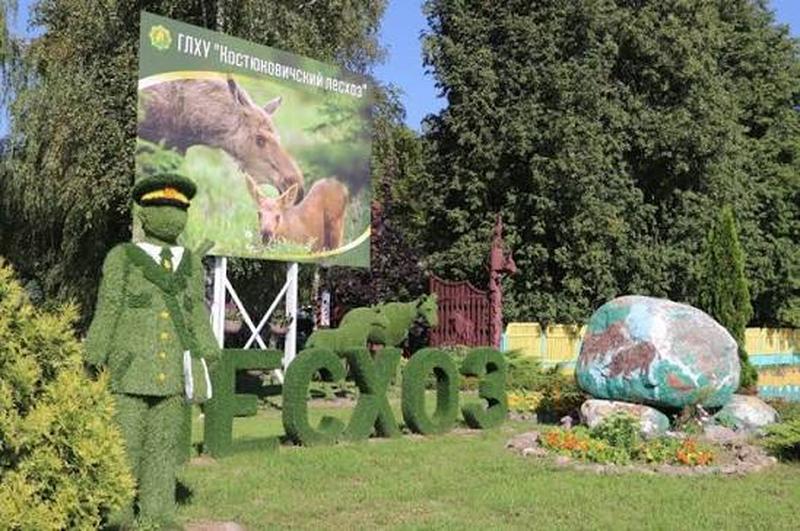 Знакомимся с великолепными леди лесного хозяйства Костюковщины