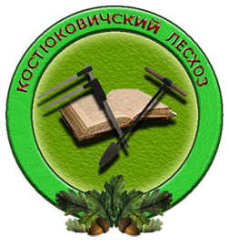 Государственное лесохозяйственное учреждение «Костюковичский лесхоз»