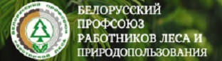 Белорусский профсоюз работников леса и природопользования